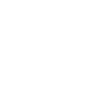 CV en Flash